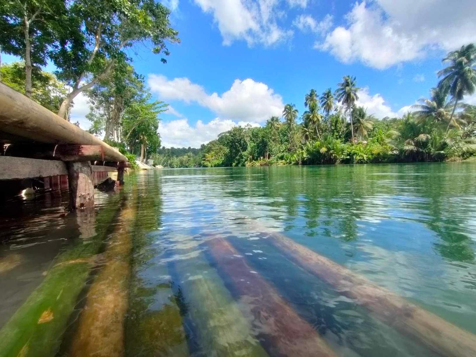 Gbu Loboc River Guesthouse מראה חיצוני תמונה
